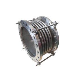 bellow expansion joint